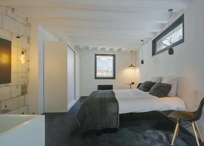 Atypique 200m2 Au Calme Et Confort Tours